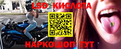 стафф Краснознаменск