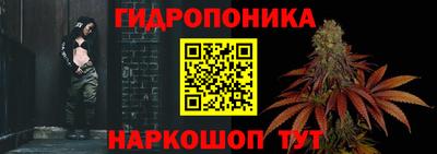стафф Краснознаменск